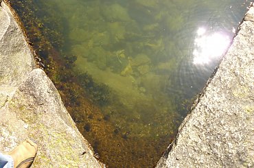 Zielony, ale za to czystszy niż w Polsce Bałtyk. Na zdjęciu głębokość ponad 2 m. #dania #bornholm #port #morze #bałtyckie