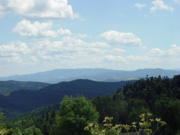 Pasmo Radziejowej z Wyrębisk Zalesiańskich #góry #rower #beskidy #mogielica #BeskidWyspowy