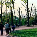 Łódzki park Staromiejski/Śledzia po kosmetyce #Łódź