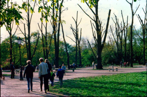 Łódzki park Staromiejski/Śledzia po kosmetyce #Łódź