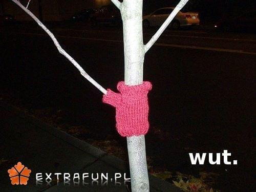 www.extrafun.pl #extrafun