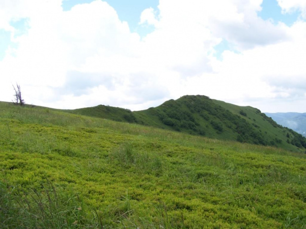 #bieszczady