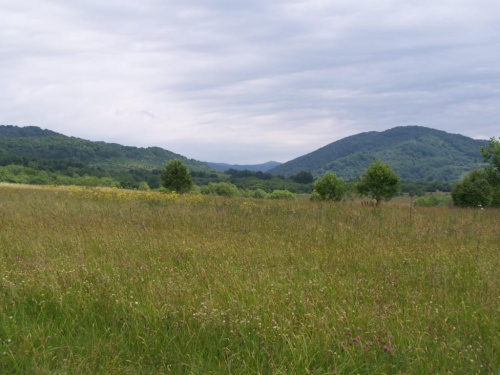 #bieszczady