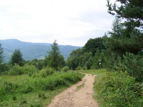 #bieszczady