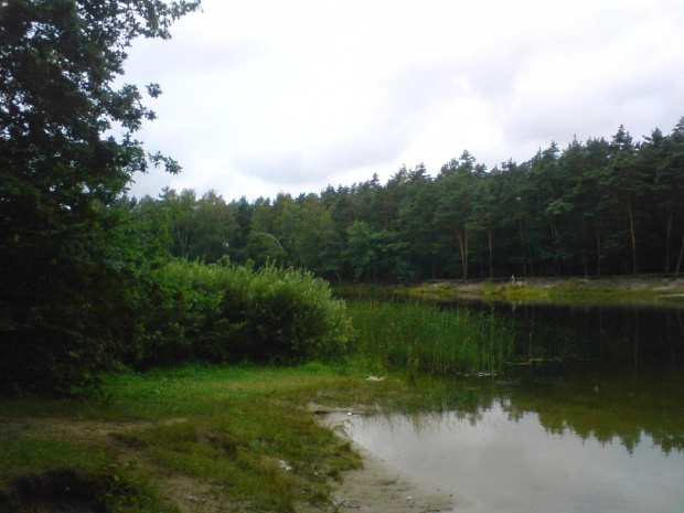 Mały akwen na Kuźniczkach dzielnicy miasta Kędzierzyn Koźle #JezioroKuźniczka