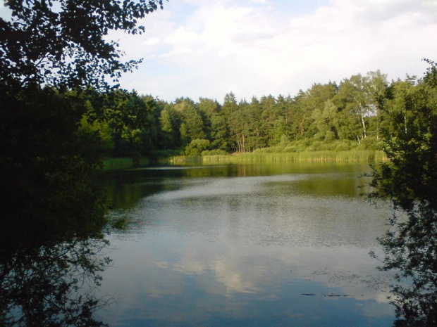 Mały akwen na Kuźniczkach dzielnicy miasta Kędzierzyn Koźle #JezioroKuźniczka