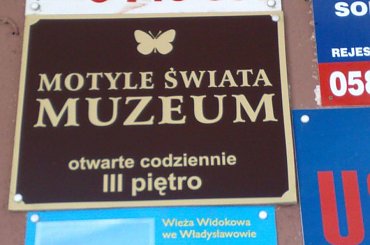 29.06.2008 niedziela --> dzień pierwszy cudownych wakacji.Wystawa prezentowana w wieży Domu Rybaka "Motyle Świata" #WesołeMiasteczko #Lunapark #władysławowo #wakacje
