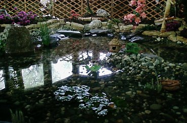 #kwiaty #WystawaKwiatów #piękne