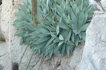 Piękno przyrody #MonacoIMonteCarlo