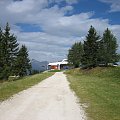 Col dei Baldi (1922 m) #góry #Dolomity #Włochy