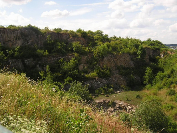 Rezerwat skalny "Ślichowice" im. Jana Czarnockiego, Kielce (drugi jar obok głównego) #skały #skała #rezerwat #przyroda #zieleń