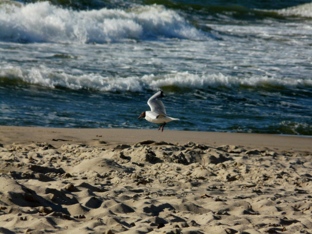 na plaży