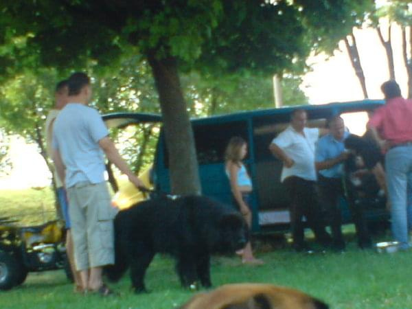 Chełm Dogi 2008