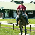 Stadnina Koni Huculskich w Regietowie k/Gorlic #regietów #konie