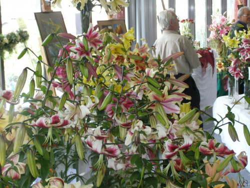 wystawa lilii i kompozycji kwiatowych Rybnik 2007 #lilie #lilia #wystawa #Rybnik #kwiaty