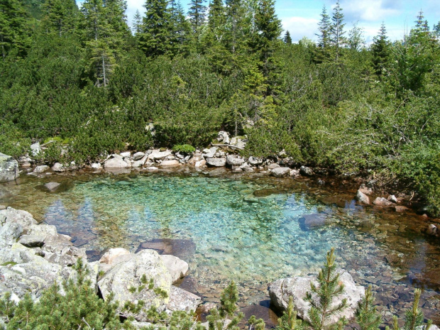 Zelene (Zabie) Plesko w Dolinie Spalonej #Tatry