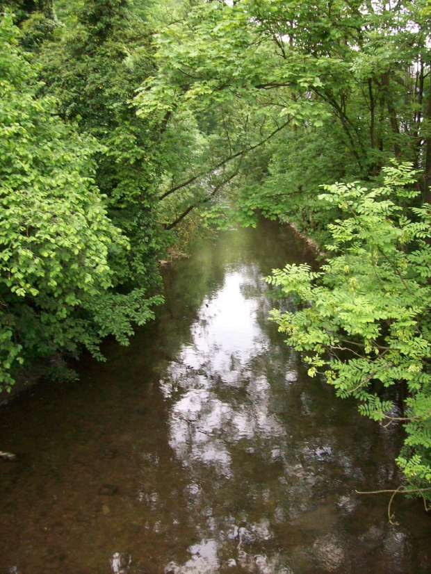 Odenthal, malownicza rzeczka