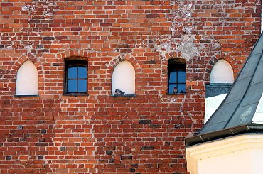 #gołębie #mur #okna