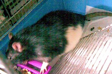 Artur, Lijam. #lijam #liam #artur #art