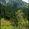 Zakopane 2008 #Góry #Zakopane