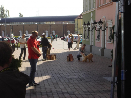 Strzal w 10 z Czarkiem Pazurą