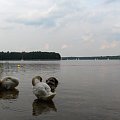 wakacje na Mazurach #Mazury #wakacje #jezioro