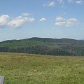 Kudłoń z Jaworzyny Kamienickiej #góry #gorce