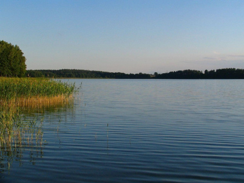 Mazury ,
jez Piłakno,Borowski Las #Krajobrazy #Natura #Mazury #Jeziora #Widoki #JezPiłakno