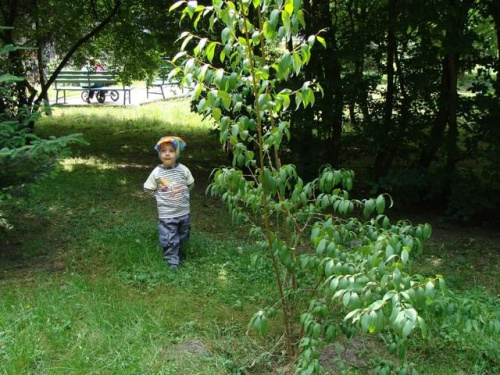 Nasze wszystkie dzieci i wnuki w łódzkim zoo