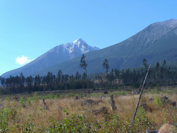 Lomnicki Stit, Skalnate Pleso