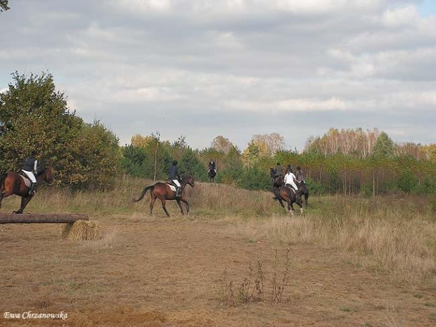 2008.10.18 Hubertus I