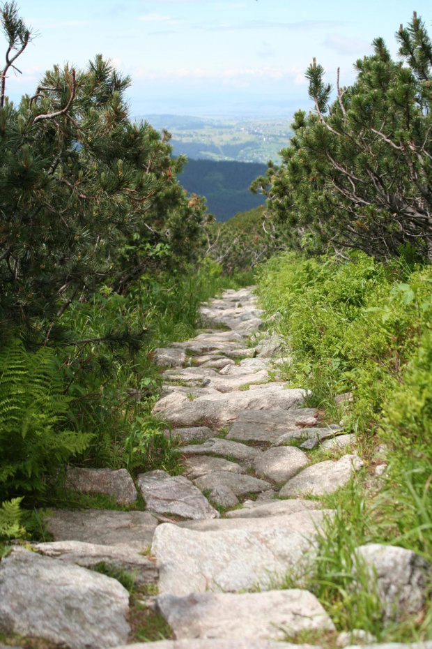 GIEWONT - KASPROWY