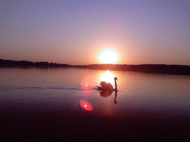 Jezioro Wulpińskie o zmroku #Przyroda #natura