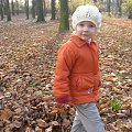 Park (Łagiewniki, 5.11.2008) #jesień #park