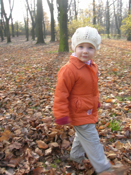 Park (Łagiewniki, 5.11.2008) #jesień #park
