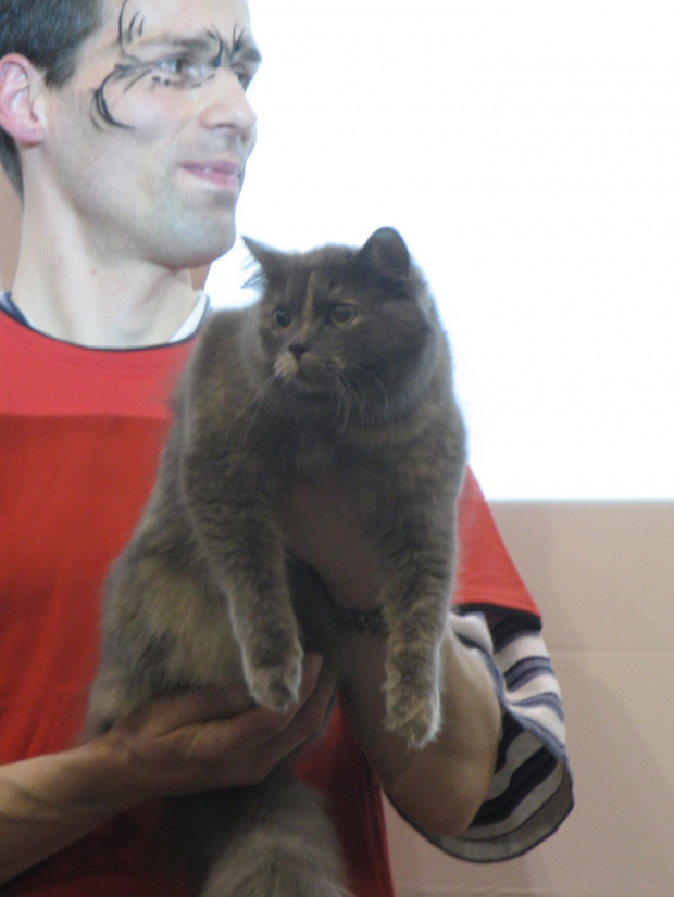 Dasza okazała sie najlepszą kotką specjalistycznej wystawy kotów syberyjskich wśród dorosłych kotek -została wybrana przez sędziego z Austrii Mr. Karl Preiss
