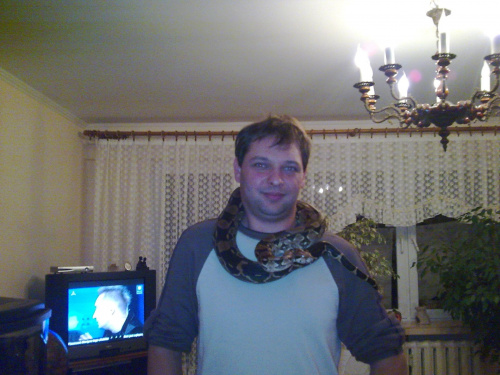 wąz boa constrictor dusiciel