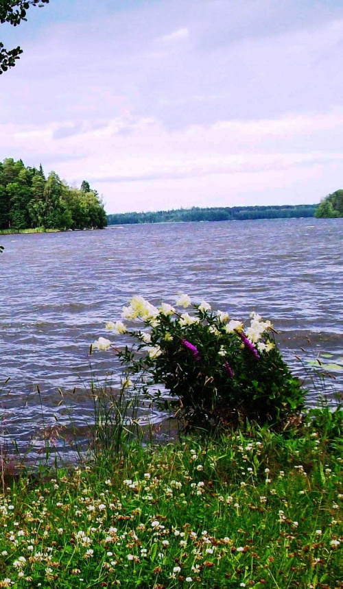 Finlandzkie jeziora #krajobraz #jezioro #woda