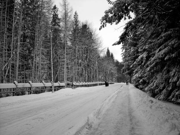 #Zakopane