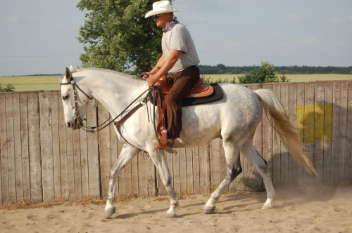 Pan Andrzej i Łotysz