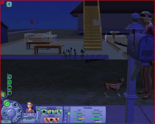 zwierzaki z gry the sims 2 zwierzaki #zwierzaki #psy #TheSims2 #kobieta #coonhound #basenji