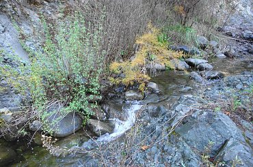 rzeczka #Cypr #jesień #rzeczka #kolory