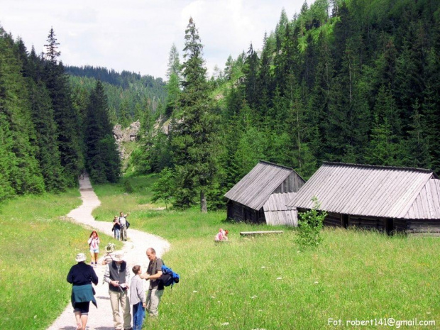 dolina jaworzynki 02 #GóryTatry