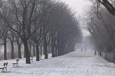 #PoznańZima