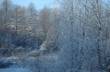Pejzaz nad rzeka #Sidra