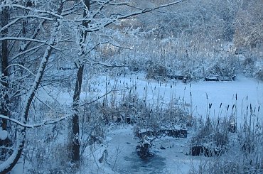 Rzeka Sidra,kolo mlyna #Sidra