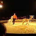 Cyrk Zalewski 2007 Zakaz kopiowania zdjęć zapraszamy na www.cyrk-fan.com #CyrkZalewski