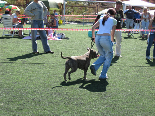 Gdynia 2007