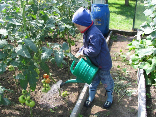 Wakacje lipiec 2007 - Orchowo