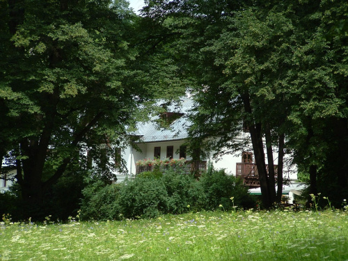 Hotel Kazimierz utopiony w zieleni drzew
